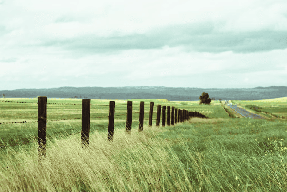 what are the legal requirements for boundary fencing in my area 2